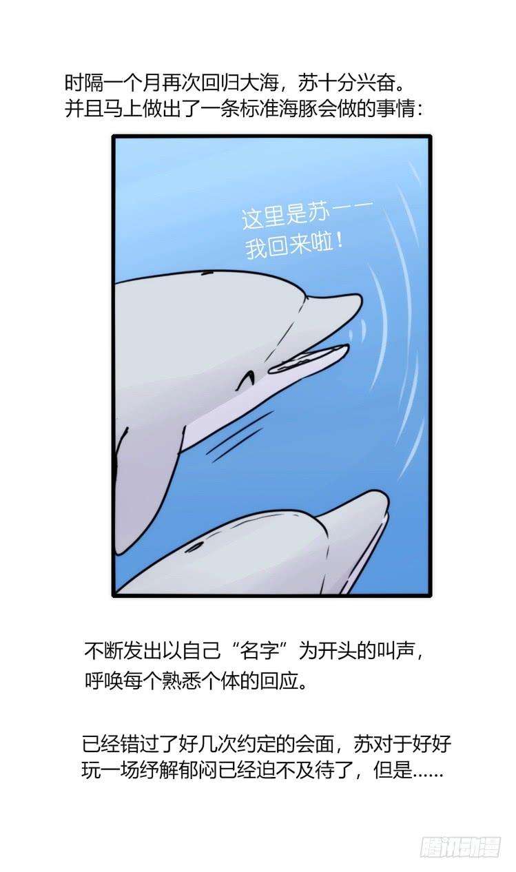 进化之基海洋精灵：约好了！（鹅霸剧场2