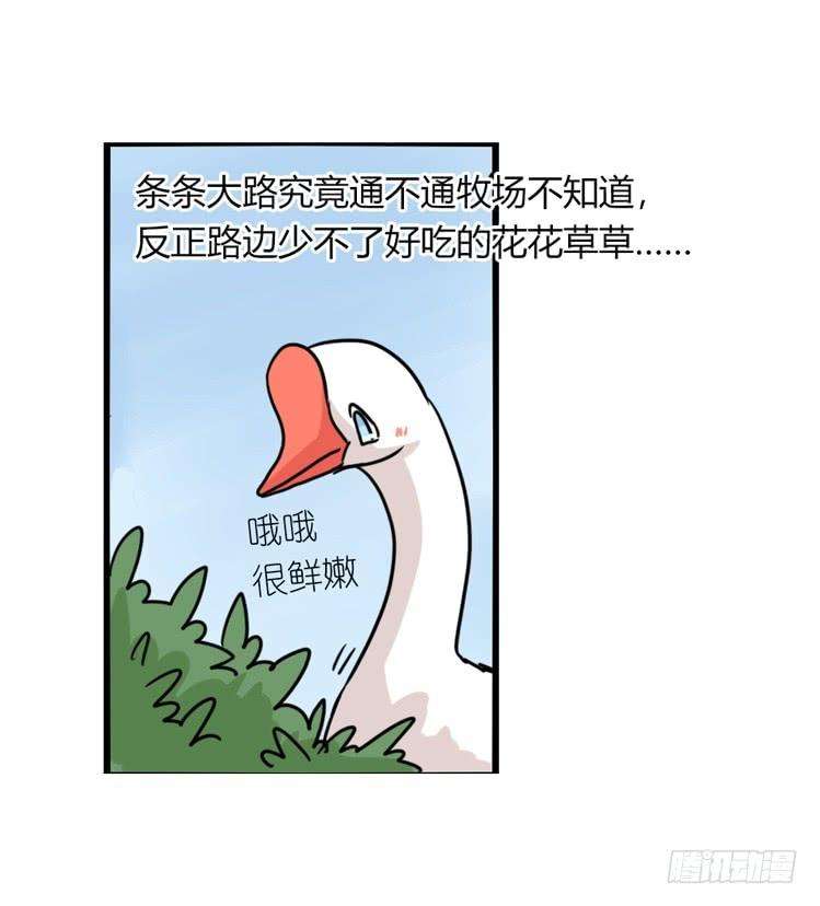 进化之基海洋精灵：约好了！（鹅霸剧场2