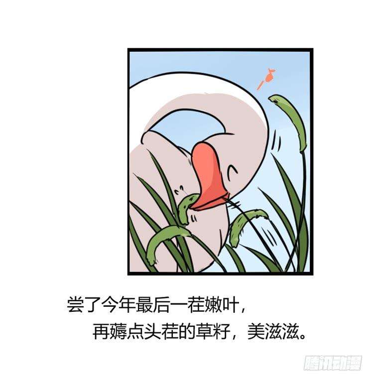 进化之基海洋精灵：约好了！（鹅霸剧场2