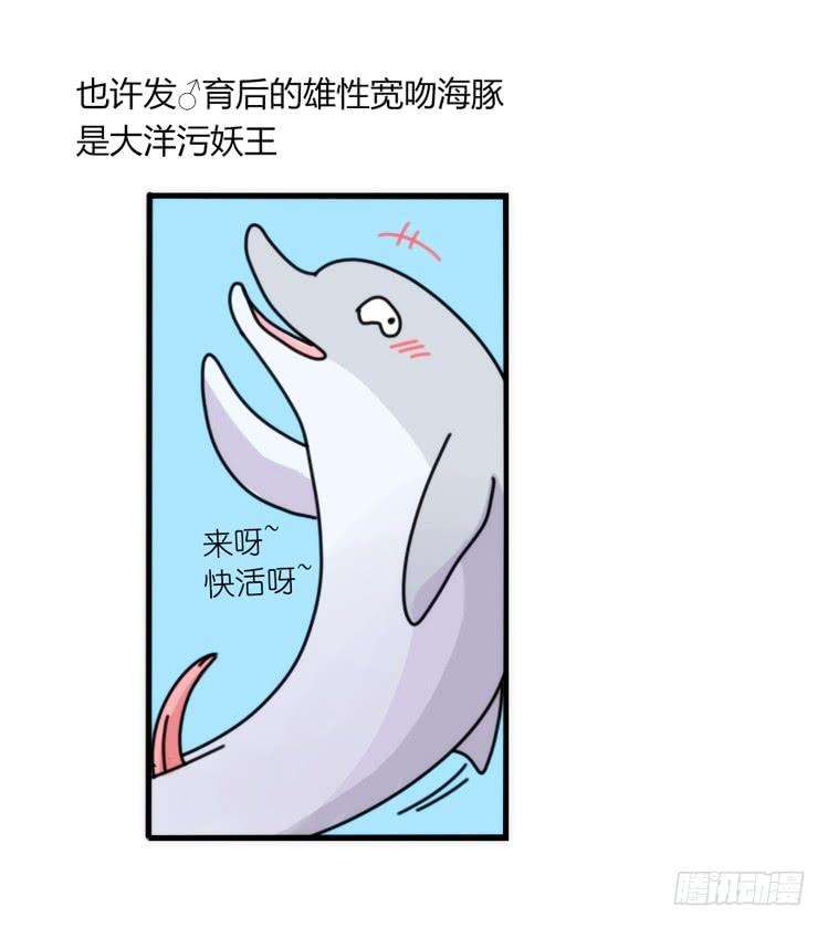 进化之基海洋精灵：约好了！（鹅霸剧场2