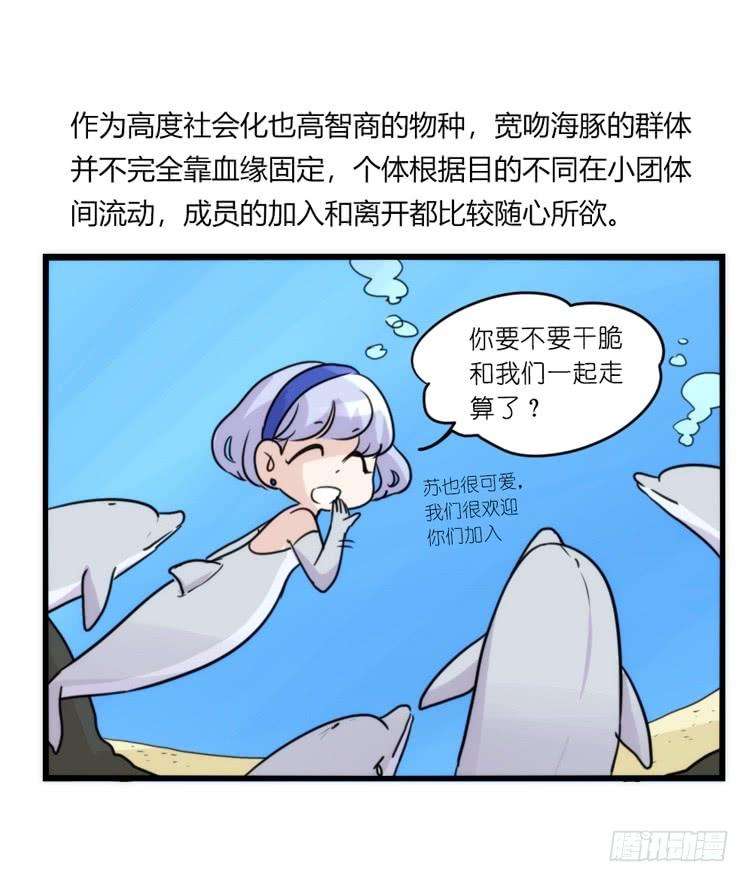 进化之基海洋精灵：约好了！（鹅霸剧场2