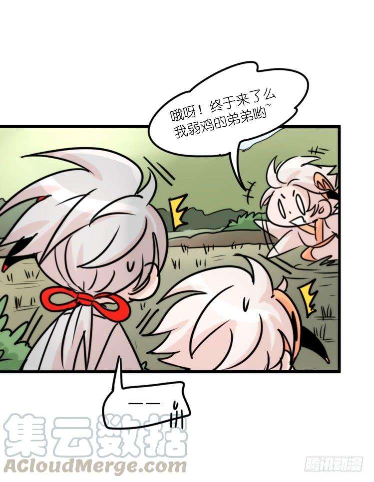 进化之基使命篇27-重振绯羽⑨
