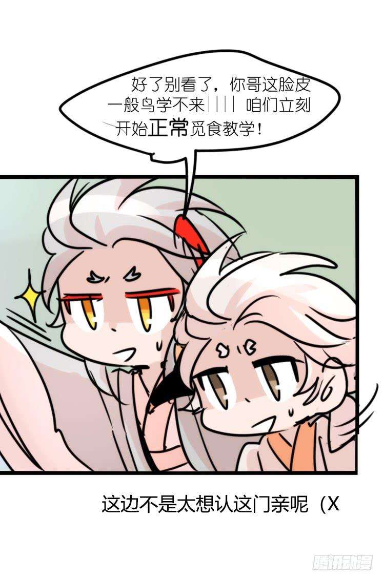 进化之基使命篇27-重振绯羽⑨