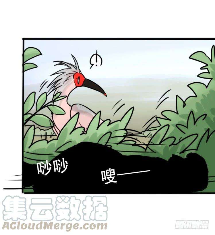 进化之基使命篇27-重振绯羽⑨