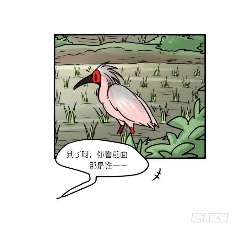 进化之基使命篇27-重振绯羽⑨