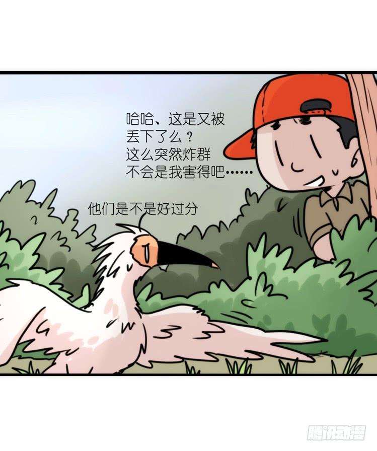 进化之基使命篇27-重振绯羽⑨