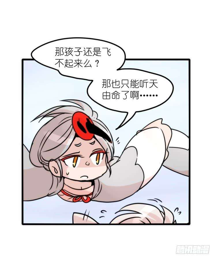进化之基使命篇27-重振绯羽⑨