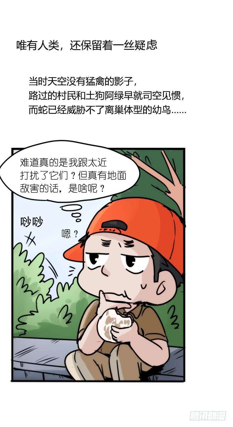 进化之基使命篇27-重振绯羽⑨