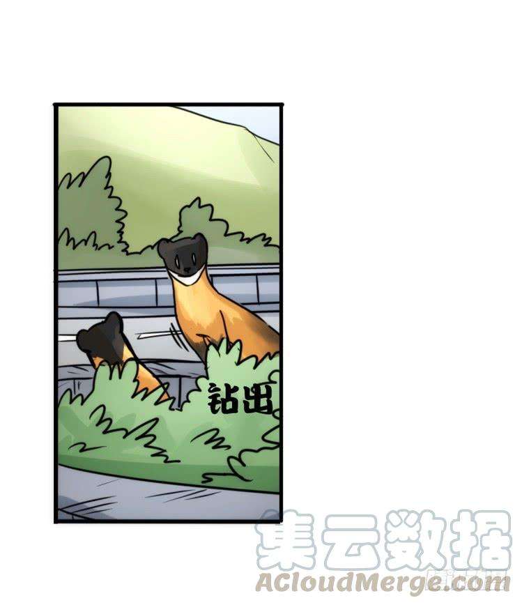 进化之基使命篇27-重振绯羽⑨