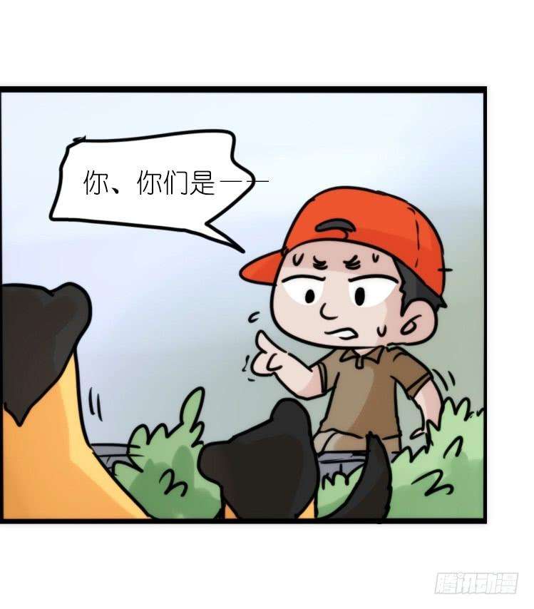 进化之基使命篇27-重振绯羽⑨