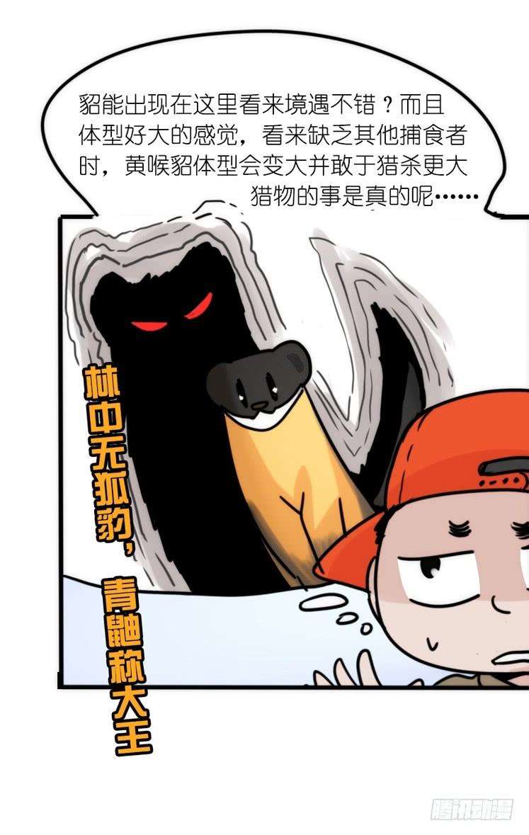 进化之基使命篇27-重振绯羽⑨