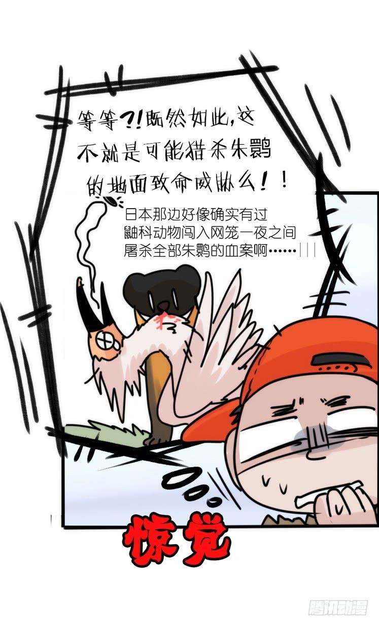 进化之基使命篇27-重振绯羽⑨