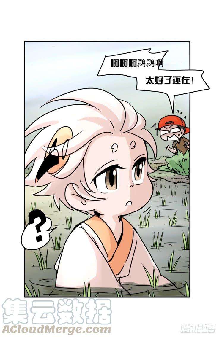 进化之基使命篇27-重振绯羽⑨
