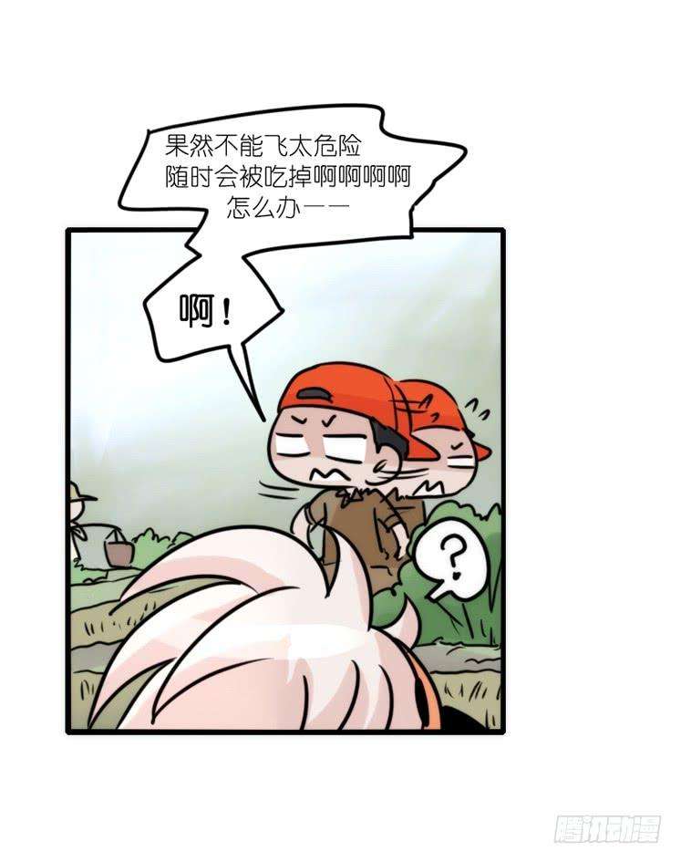 进化之基使命篇27-重振绯羽⑨