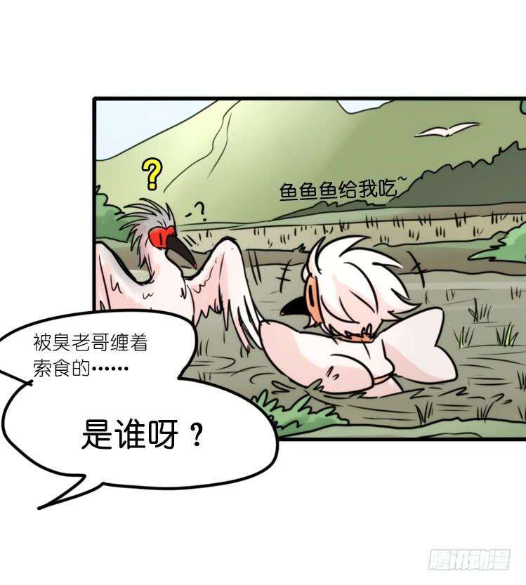 进化之基使命篇27-重振绯羽⑨