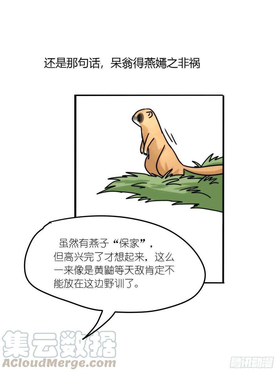 进化之基事业篇15：微型保卫战·下