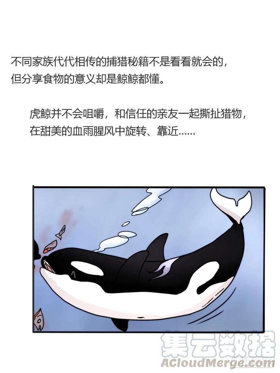进化之基虎鲸篇：这些杀手不太冷05