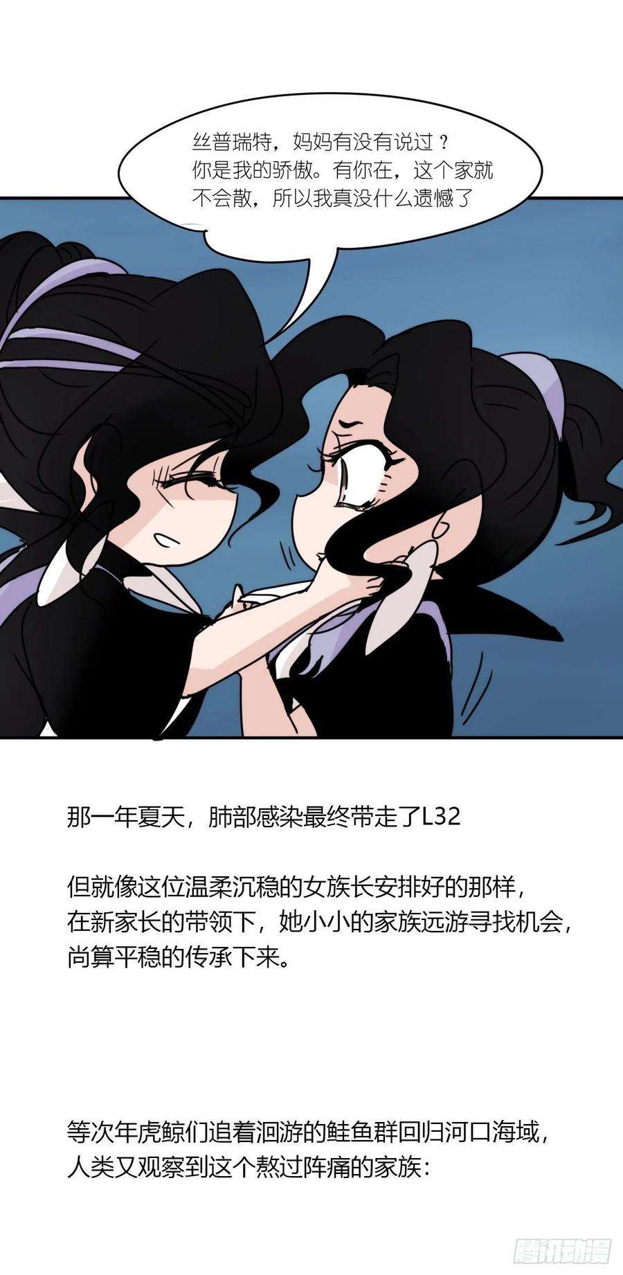 进化之基虎鲸篇：这些杀手不太冷12