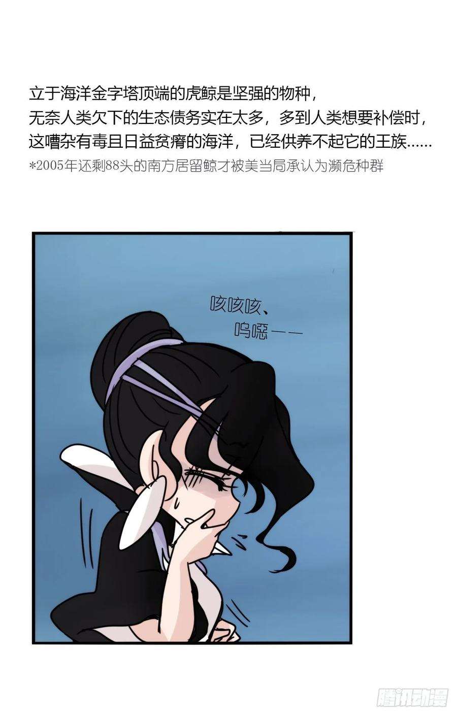 进化之基虎鲸篇：这些杀手不太冷12