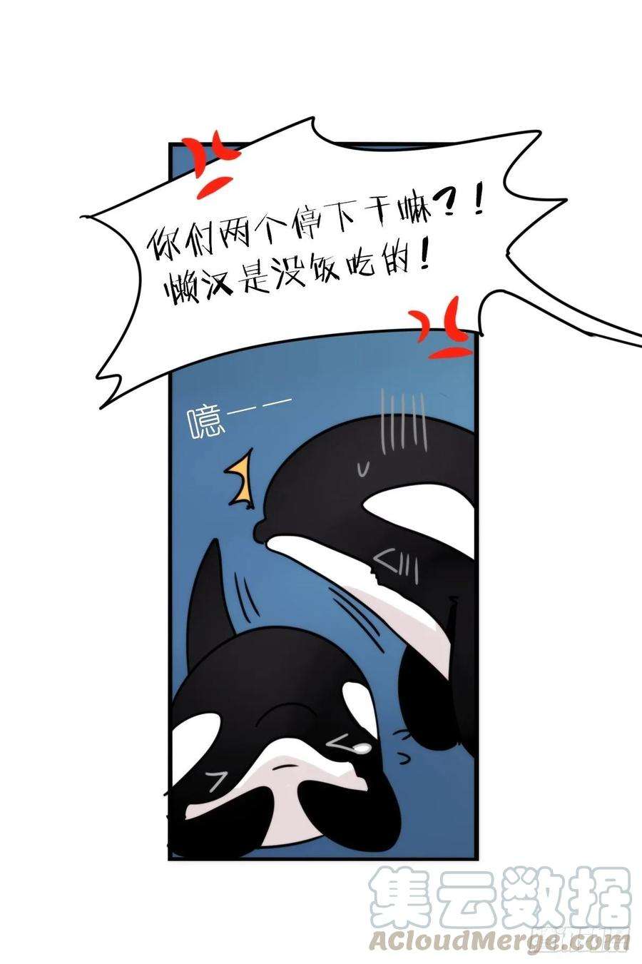 进化之基虎鲸篇：这些杀手不太冷12