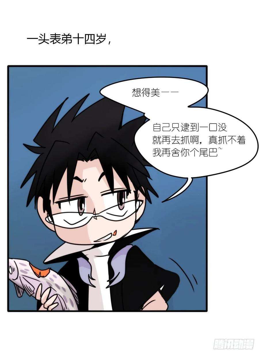 进化之基虎鲸篇：这些杀手不太冷12