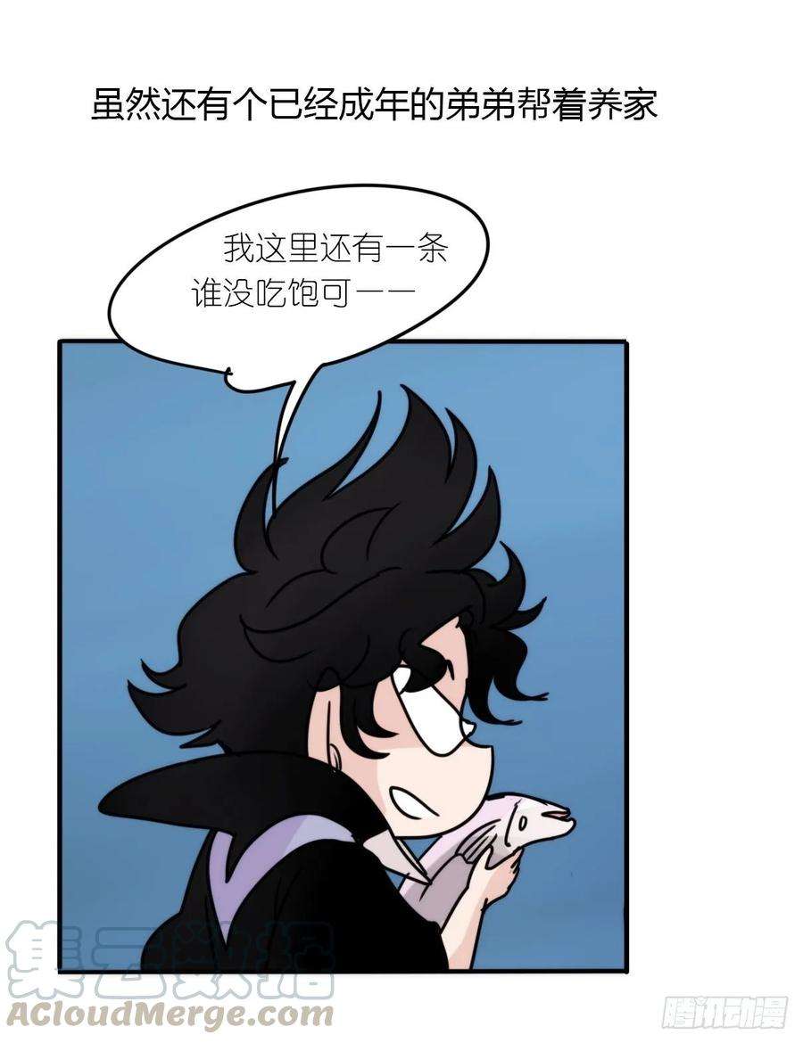 进化之基虎鲸篇：这些杀手不太冷12