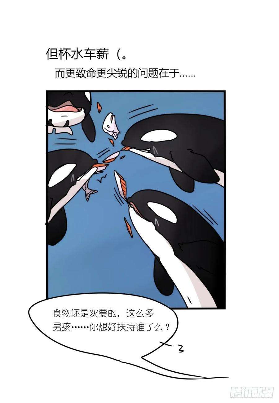 进化之基虎鲸篇：这些杀手不太冷12