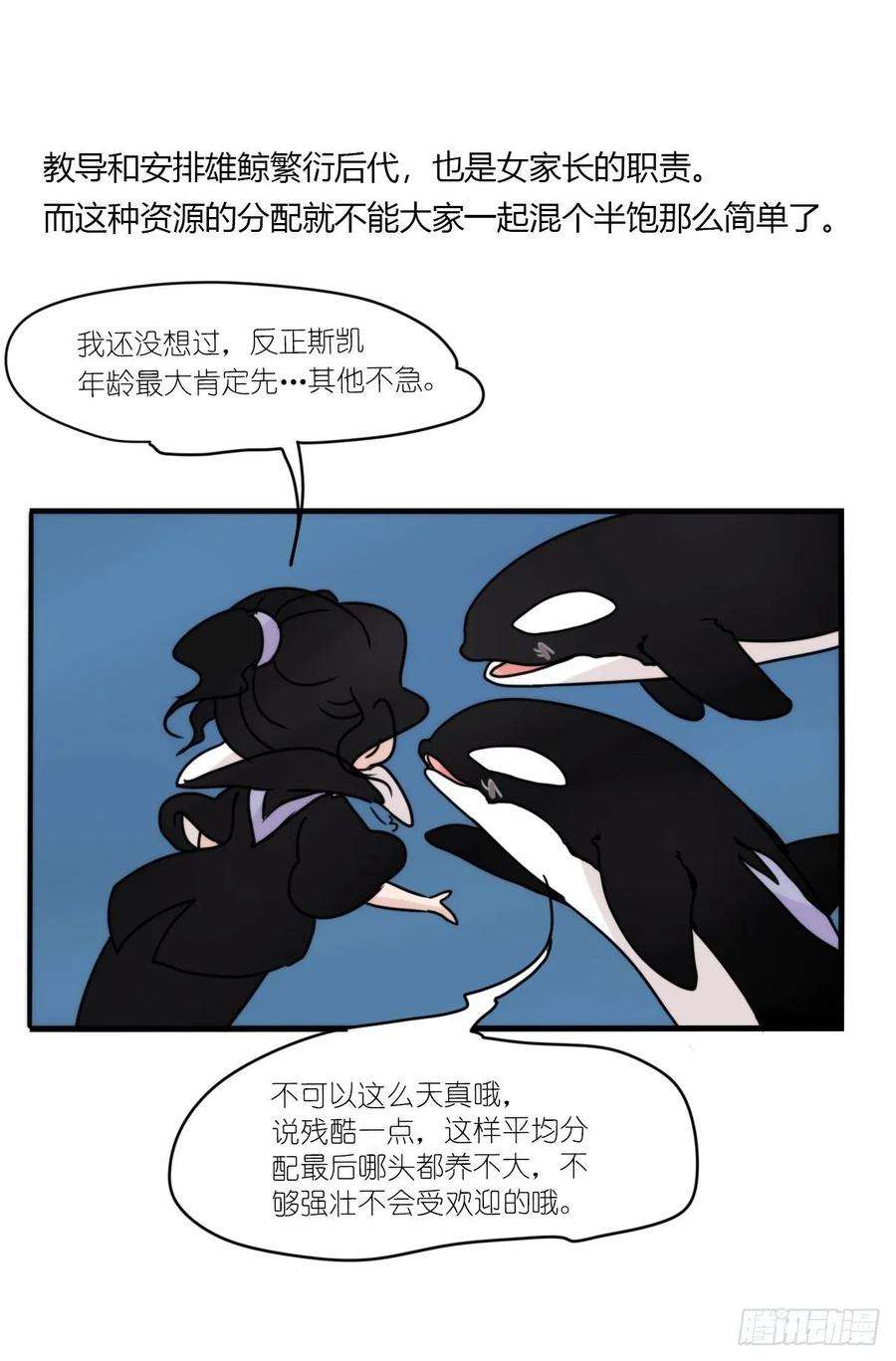 进化之基虎鲸篇：这些杀手不太冷12