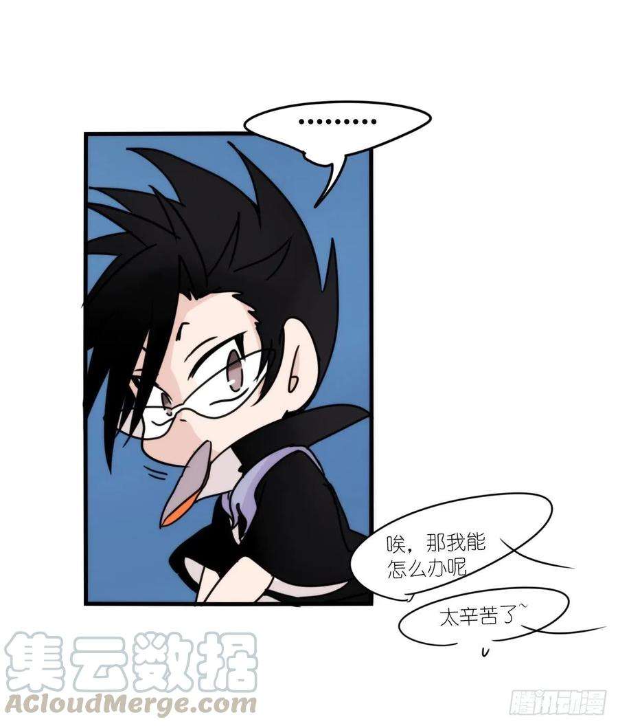 进化之基虎鲸篇：这些杀手不太冷12