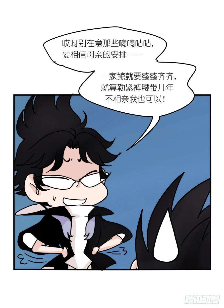 进化之基虎鲸篇：这些杀手不太冷12