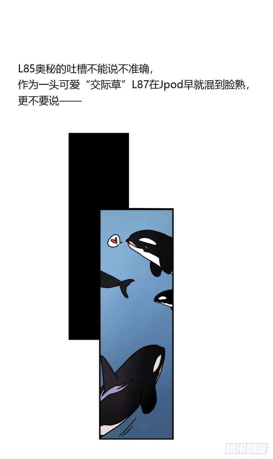 进化之基虎鲸篇：这些杀手不太冷12