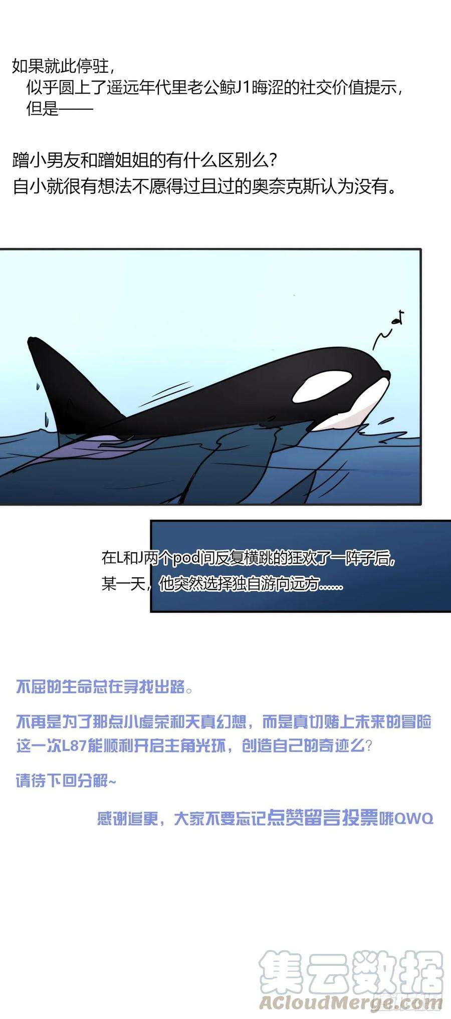 进化之基虎鲸篇：这些杀手不太冷12