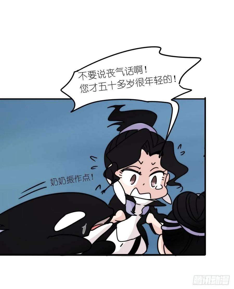 进化之基虎鲸篇：这些杀手不太冷12