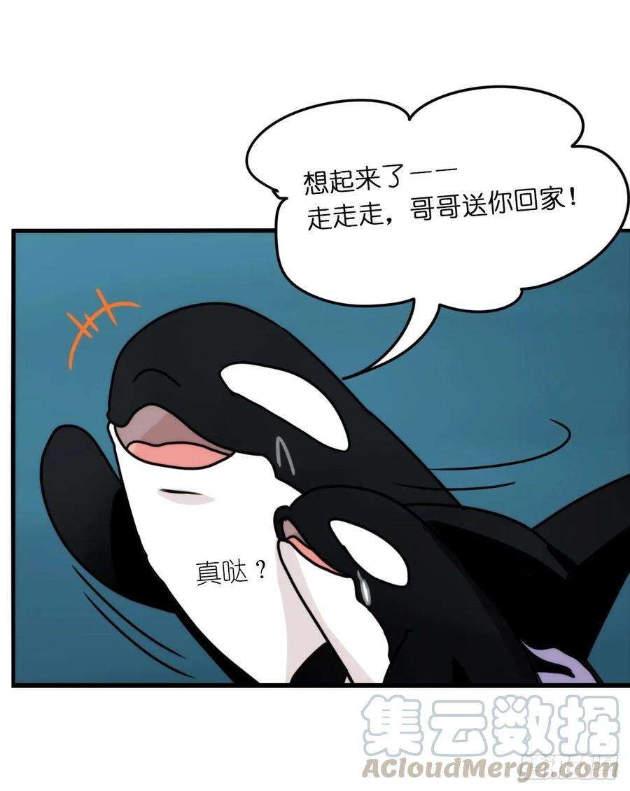 进化之基虎鲸篇：这些杀手不太冷13