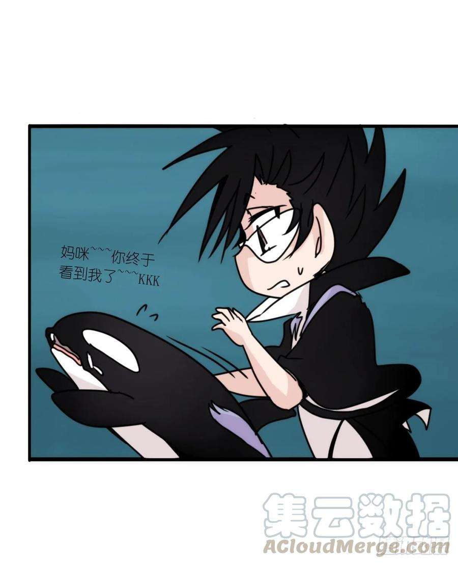 进化之基虎鲸篇：这些杀手不太冷14