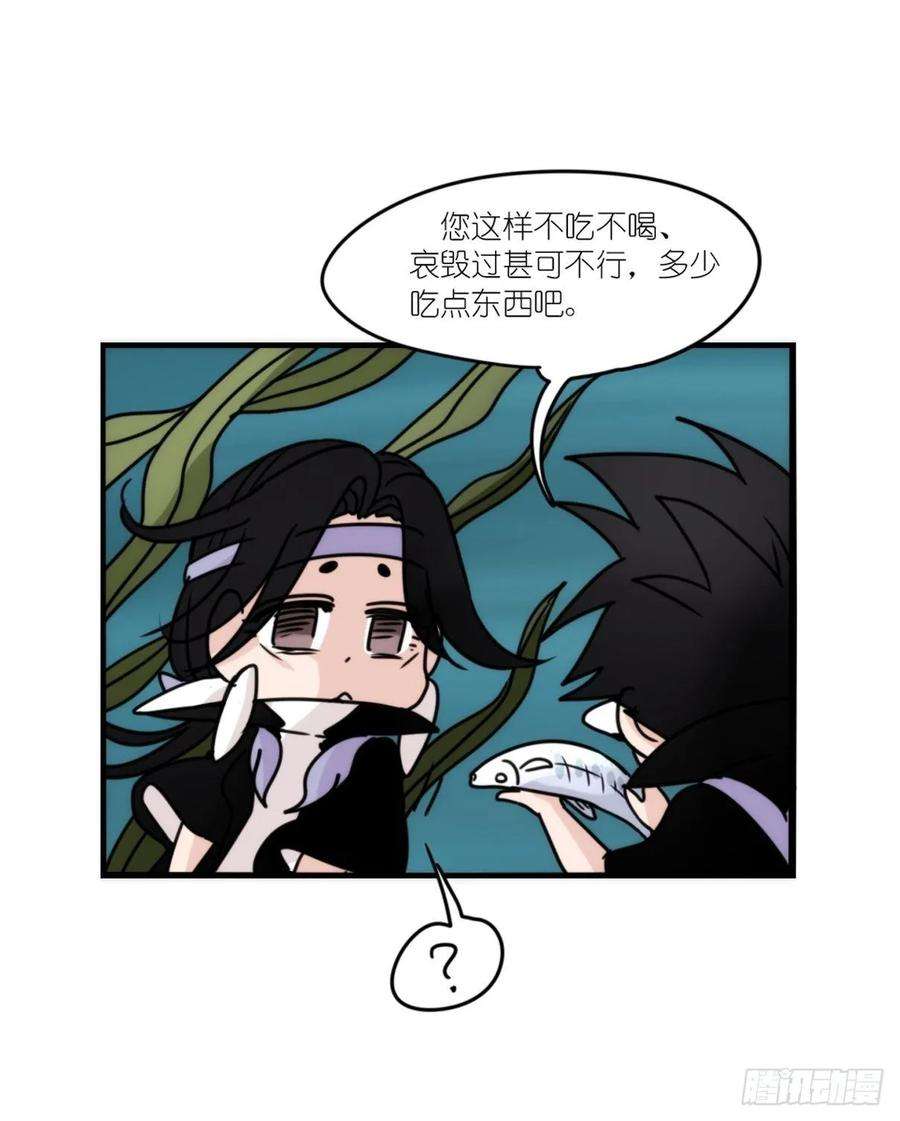 进化之基虎鲸篇：这些杀手不太冷14