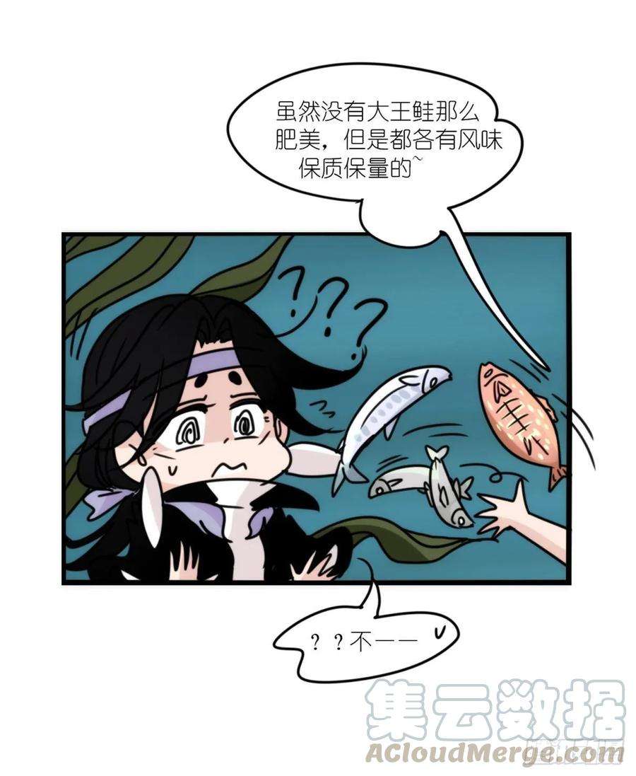 进化之基虎鲸篇：这些杀手不太冷14