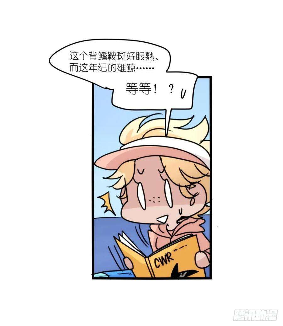 进化之基虎鲸篇：这些杀手不太冷14
