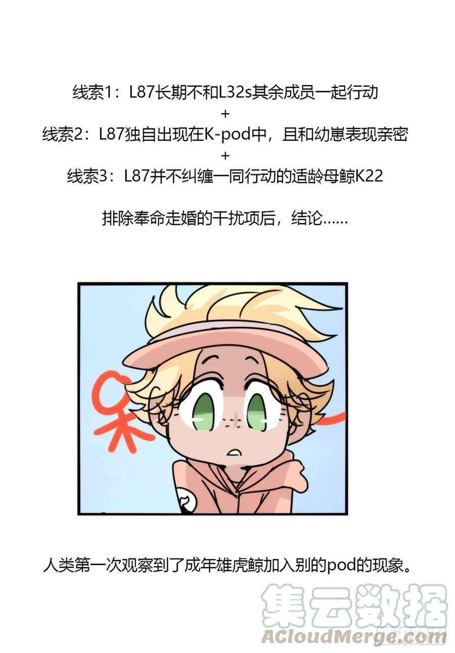 进化之基虎鲸篇：这些杀手不太冷14