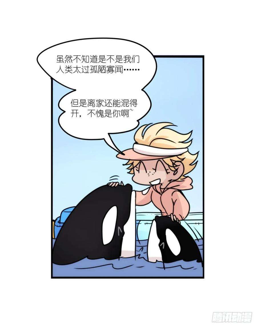 进化之基虎鲸篇：这些杀手不太冷14