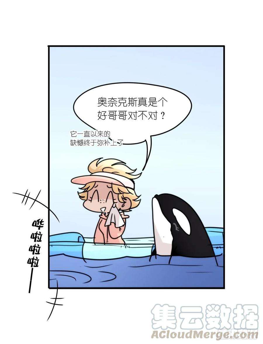 进化之基虎鲸篇：这些杀手不太冷14
