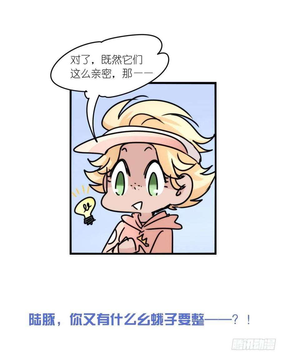 进化之基虎鲸篇：这些杀手不太冷14