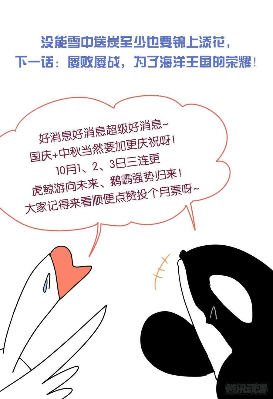 进化之基虎鲸篇：这些杀手不太冷14