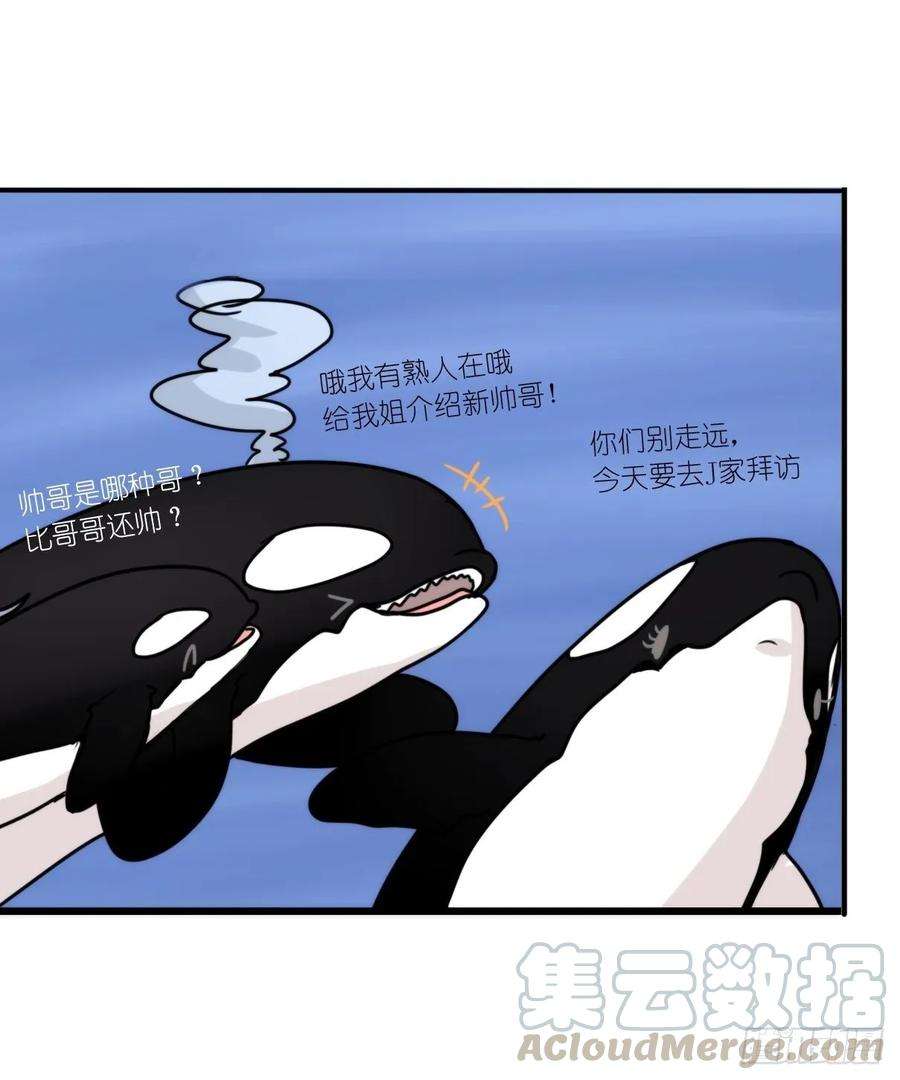进化之基虎鲸篇：这些杀手不太冷15