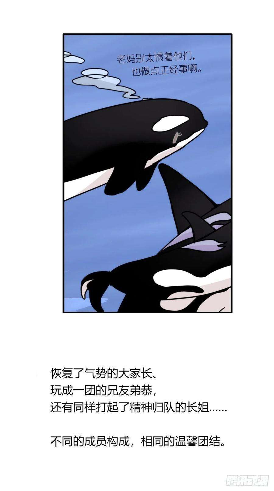 进化之基虎鲸篇：这些杀手不太冷15