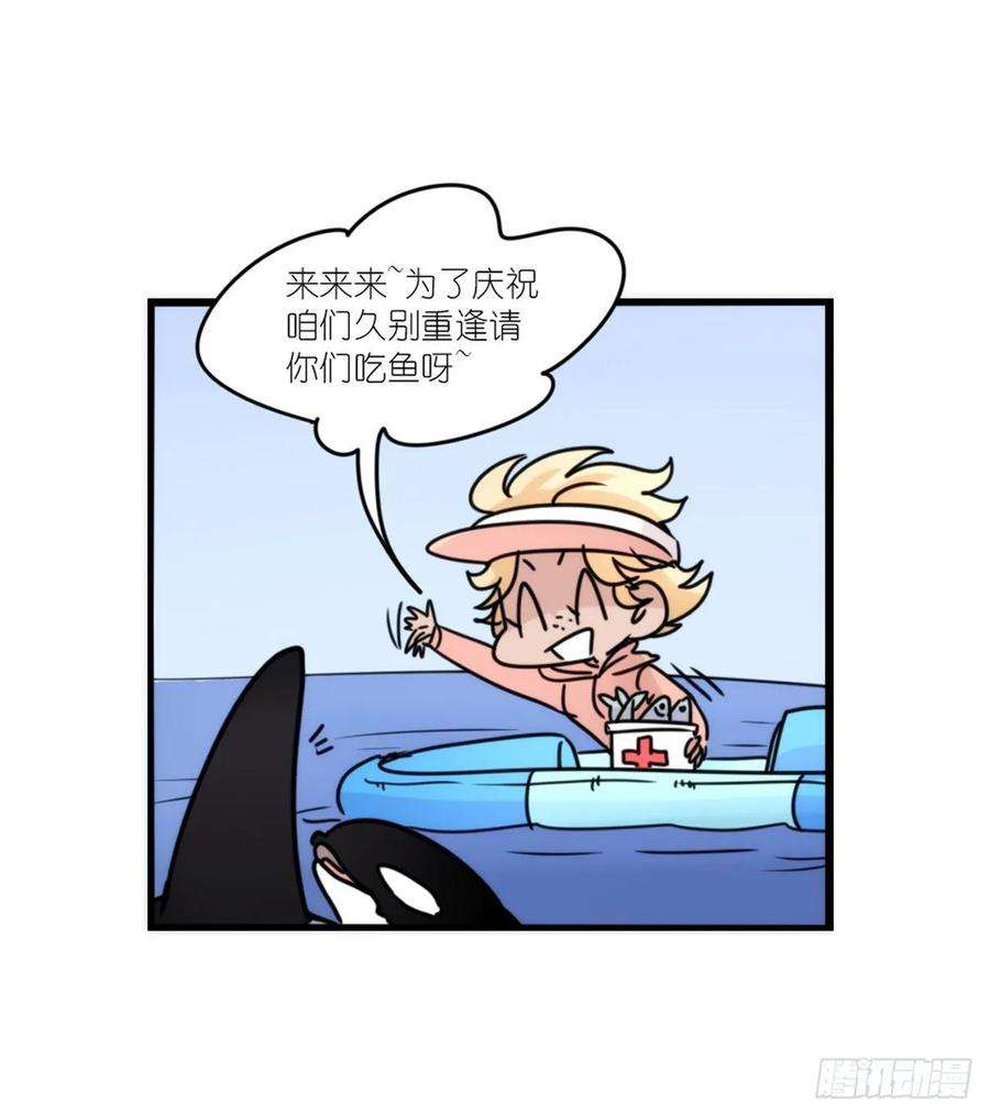进化之基虎鲸篇：这些杀手不太冷15