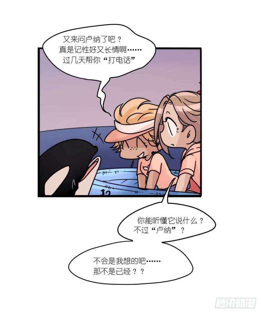 进化之基虎鲸篇：这些杀手不太冷15