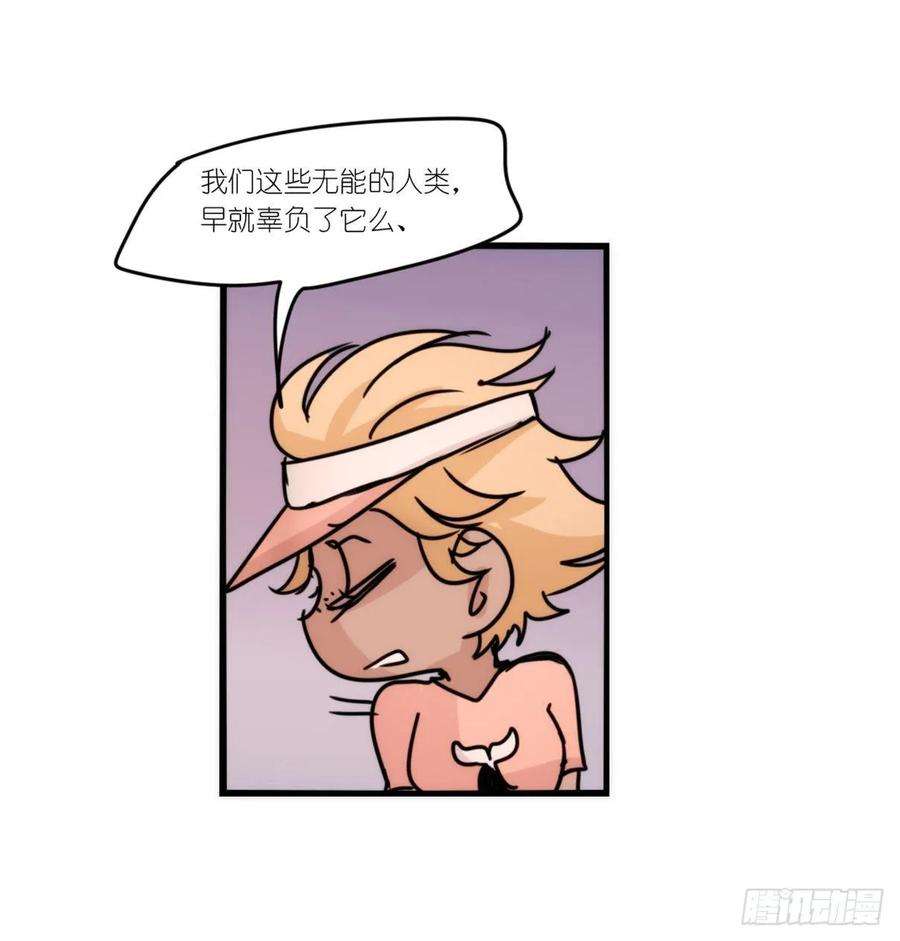 进化之基虎鲸篇：这些杀手不太冷15