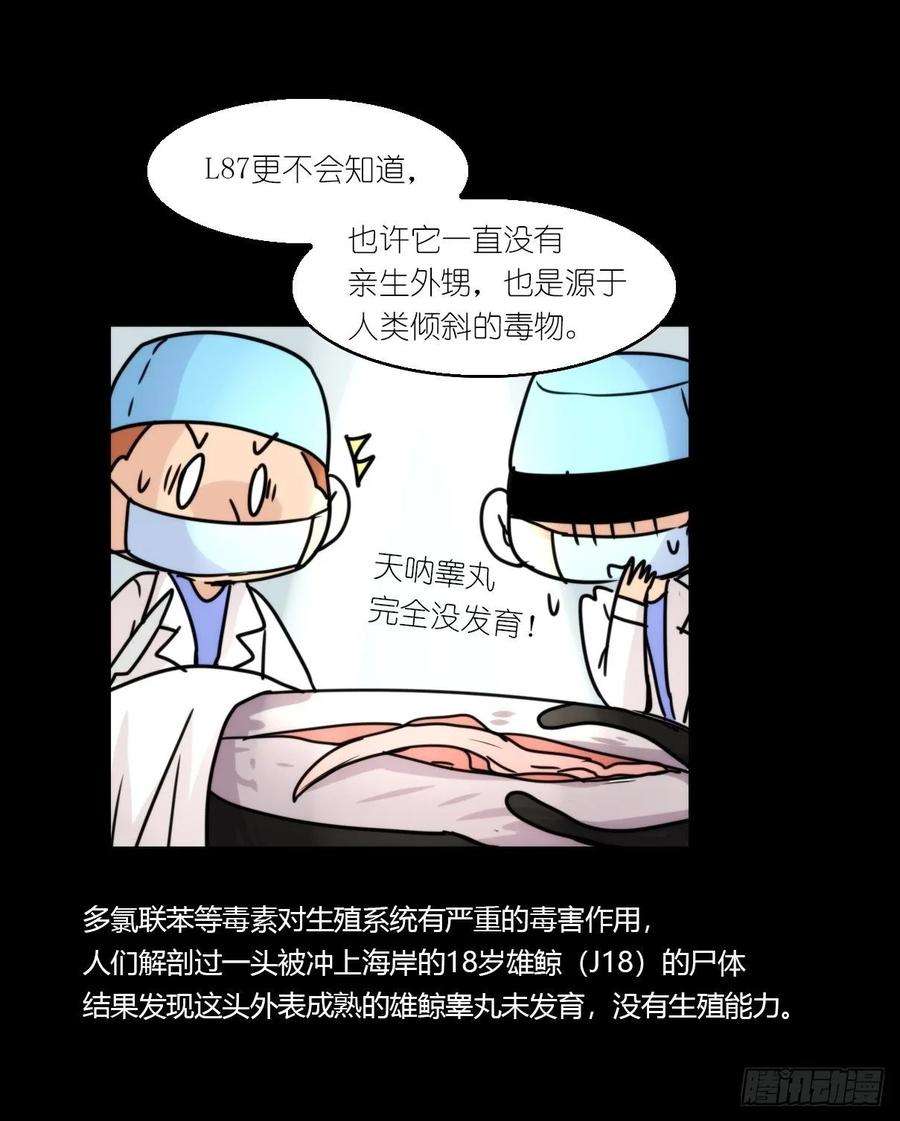 进化之基虎鲸篇：这些杀手不太冷15