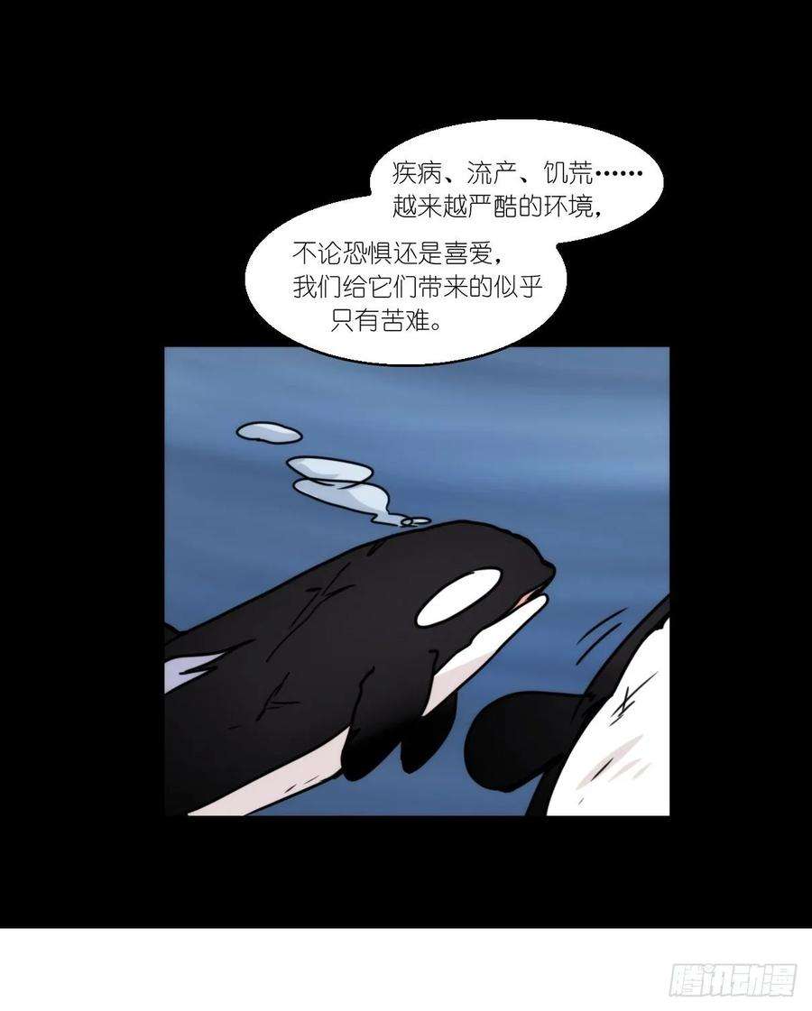 进化之基虎鲸篇：这些杀手不太冷15